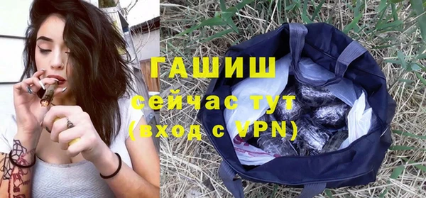 гидра Новозыбков